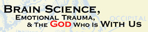 Brain Science Seminar logo